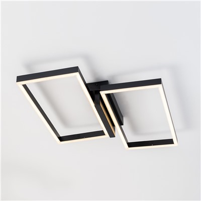 Потолочный светильник Escada 10209/2 LED*60W Black