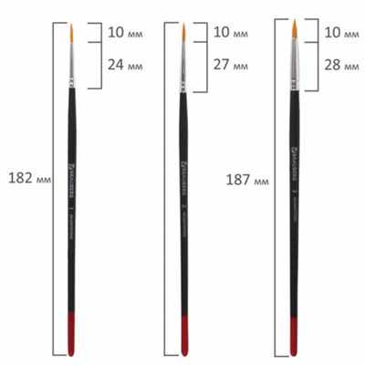 Набор кистей, синтетика, 5 штук, BRAUBERG (круглая, № 1, 2, 3, 4, 5), блистер
