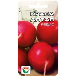 Редис Краса Алтая (Код: 17293)