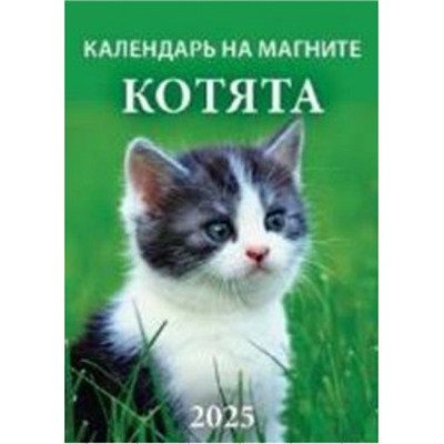 Календарь на магните отрывной 2025 г. 96х135 мм "Котята" 1125003 Атберг