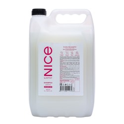 Шампунь для волос NICE by SEPTIVIT Бессульфатный Для Всех Типов Волос, 5 л