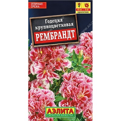 Годеция Рембрандт махровая (Аэлита)