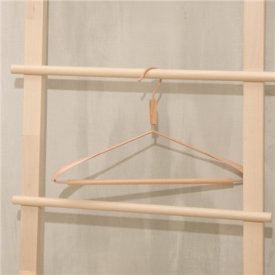 Плечики - вешалка для одежды с усиленными плечиками LaDо́m Laconique, 42×24×3,2 см, цвет розовый