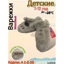 Детские варежки 1831903-4