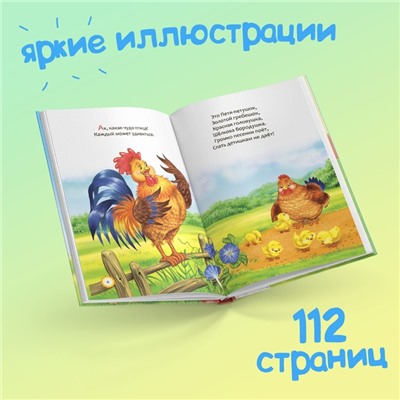 Книга в твёрдом переплёте «Мои первые стихи и потешки», 112 стр.