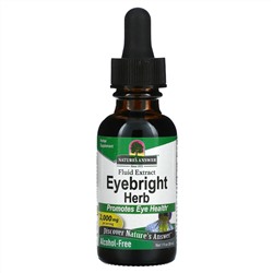 Nature's Answer, Eyebright Extract, Alcohol-Free, 2,000 mg, 1 fl oz (30 ml)