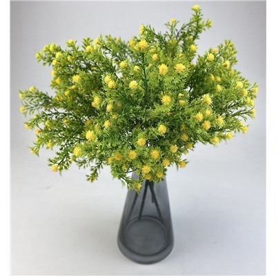 Гипсофила желтая 35 см, декоративное растение
