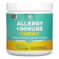 Ready Pet Go, Allergy + Immune Chews, For Dogs, All Ages, Cheese, 90 Soft Chews