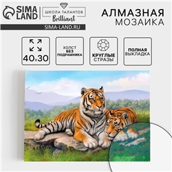 Алмазная мозаика с полным заполнением на холсте «Тигры», 30 х 40 см