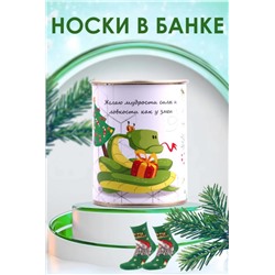 Носки мужские в банке №GL1703 Змей (Ассорти)