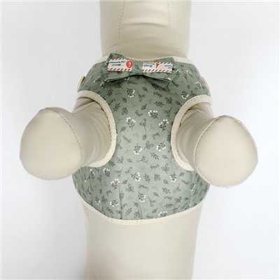 Комплект с мягкой шлейкой "Веточки", размер S, поводок 120  х 1,5 см, ОГ 28-62 см, зеленый