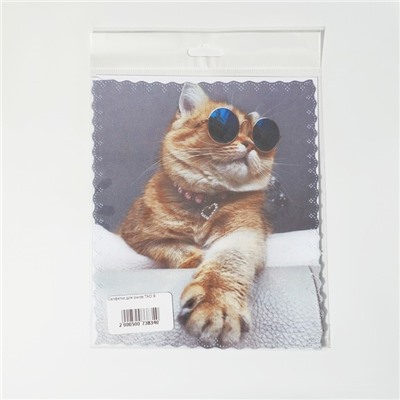 Салфетка для очков TAO9 «Кот в очках» 15×18 см, цвет бежевый
