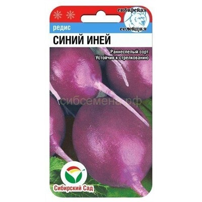 Редис Синий Иней (Сиб сад)