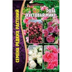 Роза кустовая Микс (Редкие)