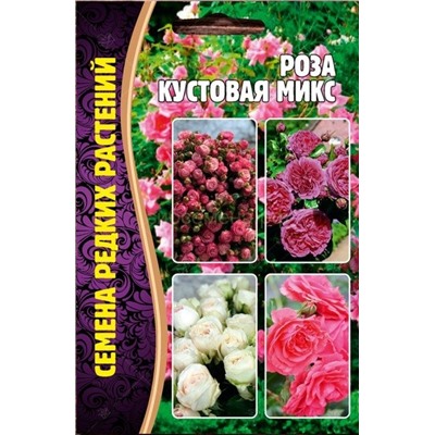 Роза кустовая Микс (Редкие)