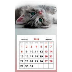 Календарь 2024г. микро на магните 95х160 мм "Портрет Кота" 3262-11 Полином