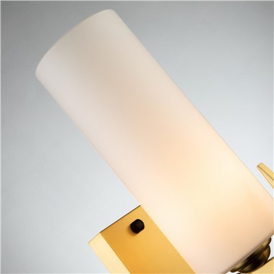 Настенный светильник Maximo 2623-1W. ТМ Favourite