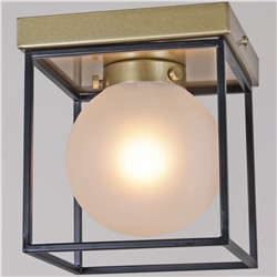 IL0050-1C-79 светильник потолочный