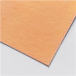 Картон цветной тонированный 210х297 мм оранжевый 200 г/кв.м (отгрузка кратно 50 шт) КЦ-7816 Лилия Холдинг