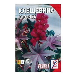 Семена цветов Клещевина "Казачка", 2 шт