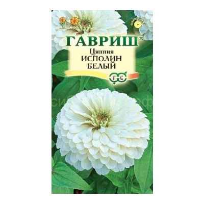 Цинния Исполин белый (Гавр)