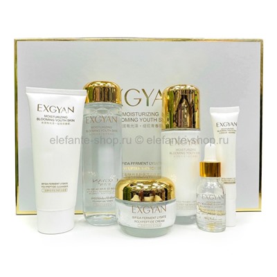 Набор EXGYAN Moisturizing Blooming Youth Skin Set (13)