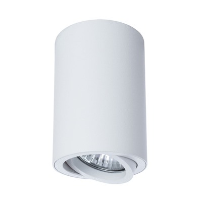 Точечный накладной светильник Arte Lamp SENTRY A1560PL-1WH